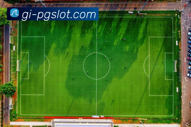 森林舞会官网全站App